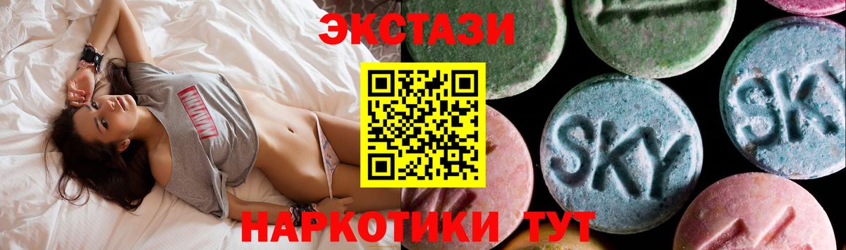 Чехов  Ecstasy Philipp Plein  Вход с VPN  Ecstasy Philipp Plein 