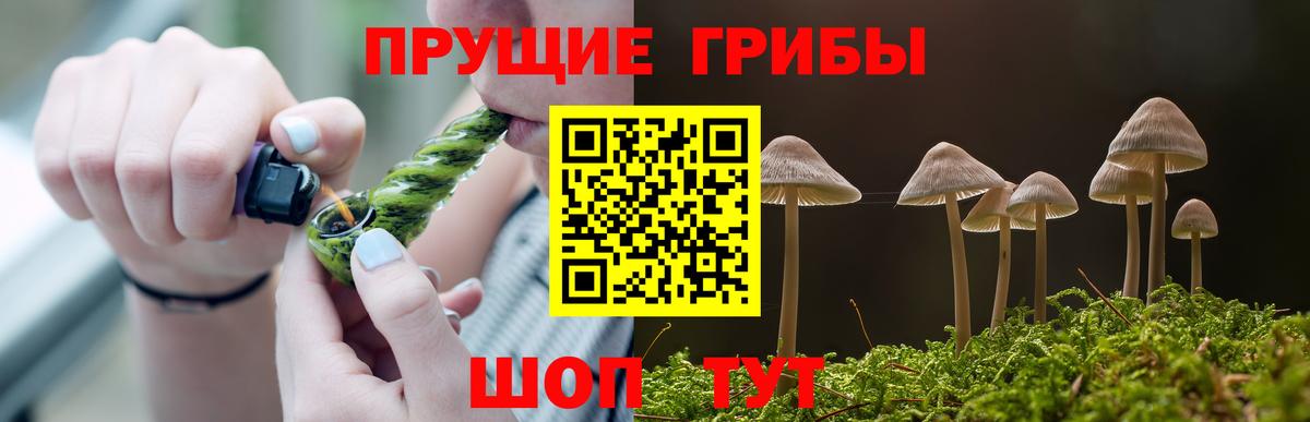 Чехов  Псилоцибиновые грибы MAGIC MUSHROOMS  Вход с VPN 